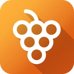 Product Fruits copilot support